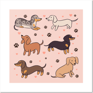 Adorable Dachshund dogs illustration Posters and Art